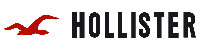 Hollister Розмірні таблиці