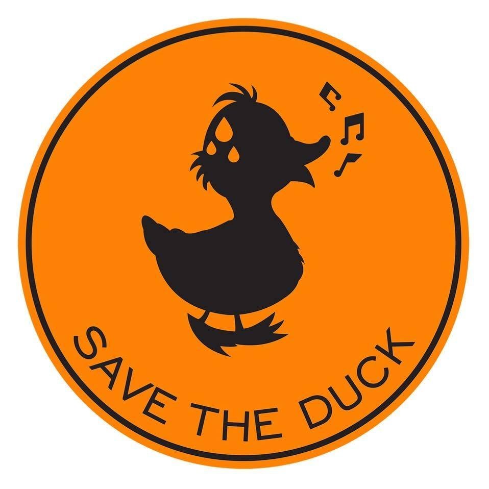 Save the duck Size charts